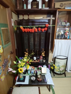 今年は