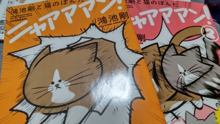 にゃあああ
