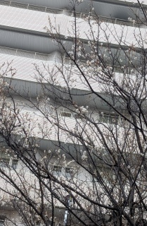 ���b�`��